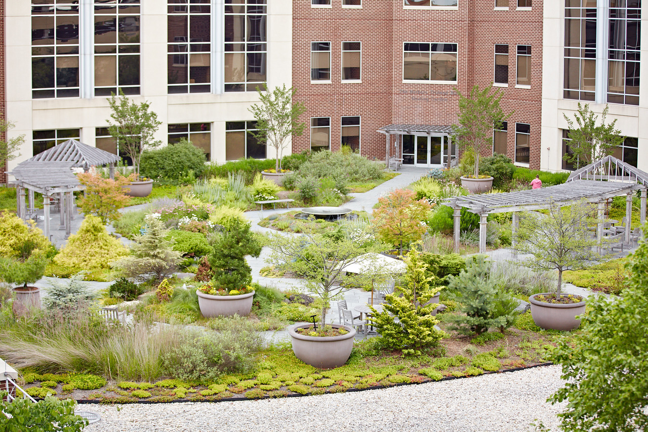 rooftop green garden wide shot